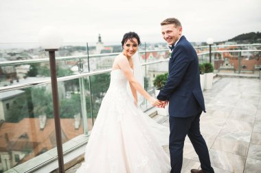 Düğün günü el ele tutuşan çift, damat ve gelin..