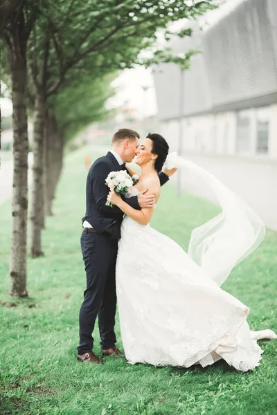 Όμορφη Νύφη Και Γαμπρός Αγκαλιάζει Και Φιλιά Την Ημέρα Του — Φωτογραφία Αρχείου