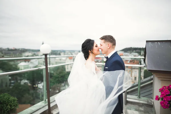 Krásná Nevěsta Ženich Objímání Líbání Jejich Svatební Den Venku — Stock fotografie