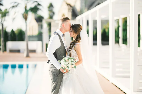 Düğün Çifti Birbirine Sarılıyor Beyaz Elbiseli Güzel Bir Kız Takım — Stok fotoğraf