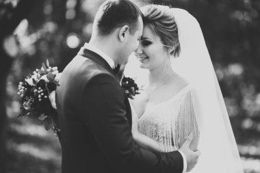 Romantik, peri masalı, mutlu yeni evli çift parkta sarılıp öpüşüyor, arka planda ağaçlar....