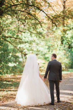 Düğün günü el ele tutuşan çift, damat ve gelin..