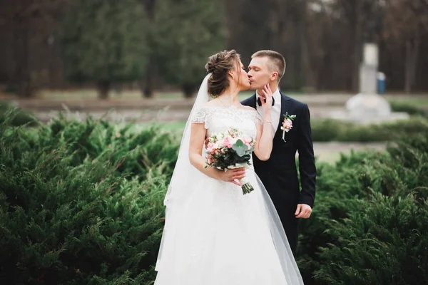 Bela Noiva Noivo Abraçando Beijando Seu Dia Casamento — Fotografia de Stock