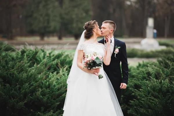 stock image Beautiful bride and groom embracing and kissing on their wedding day.