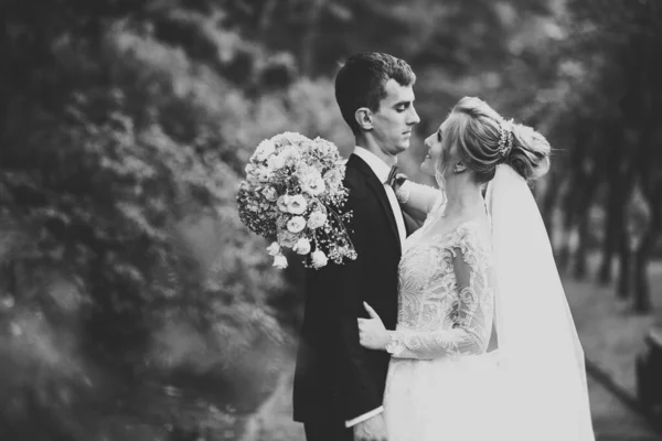 Romântico Conto Fadas Feliz Casal Recém Casado Abraçando Beijando Parque — Fotografia de Stock