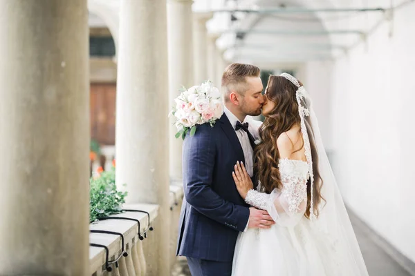 Gyönyörű Menyasszony Vőlegény Ölelkeznek Csókolóznak Esküvő Napján — Stock Fotó