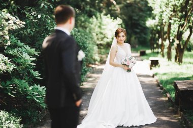 Mutlu düğün çift büyüleyici damat ve mükemmel gelin parkta poz.