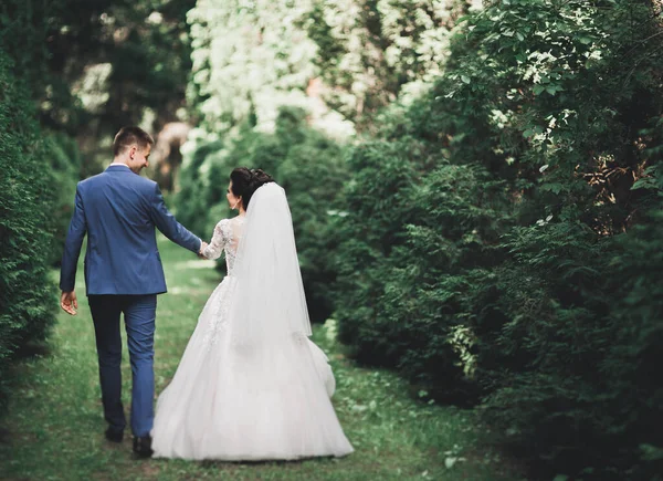 Stylový Pár Šťastných Stylových Novomanželů Procházejících Parku Jejich Svatební Den — Stock fotografie