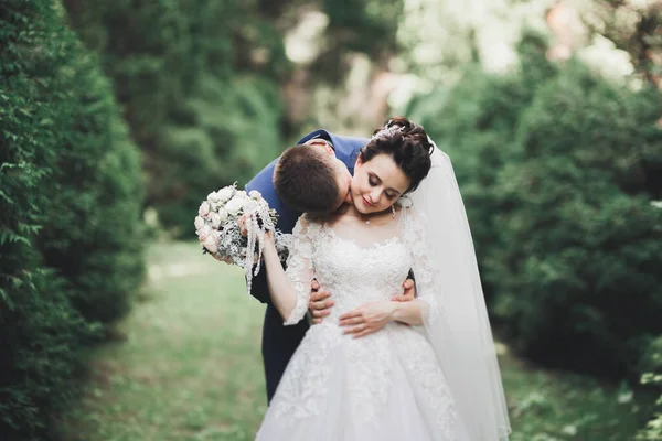 Ρομαντικό Παραμυθένιο Ευτυχισμένο Νιόπαντρο Ζευγάρι Αγκαλιάζει Και Φιλάει Ένα Πάρκο — Φωτογραφία Αρχείου