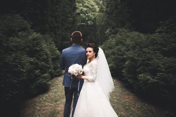 Elegante Pareja Recién Casados Felices Elegantes Caminando Por Parque Día — Foto de Stock
