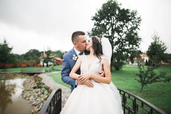 Romantikus Tündérmese Boldog Friss Házaspár Ölelés Csókolózás Parkban Fák Háttérben — Stock Fotó