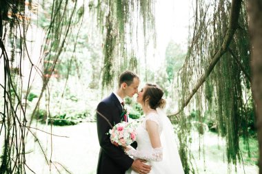 Parkta kucaklaşan yeni evli çiftin güzel romantik düğünü..