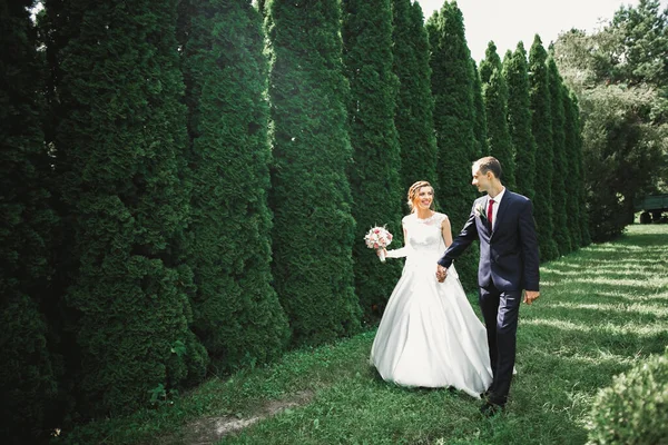 Gelukkig Bruidspaar Wandelen Een Botanisch Park — Stockfoto