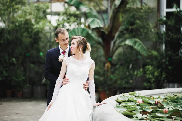 Hermosa Boda Romántica Pareja Recién Casados Abrazándose Parque —  Fotos de Stock