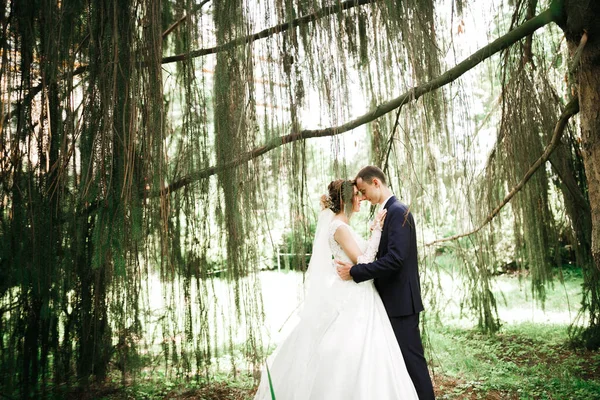 Hermosa Boda Romántica Pareja Recién Casados Abrazándose Parque — Foto de Stock