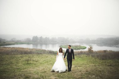 Düğün günü el ele tutuşan çift, damat ve gelin..