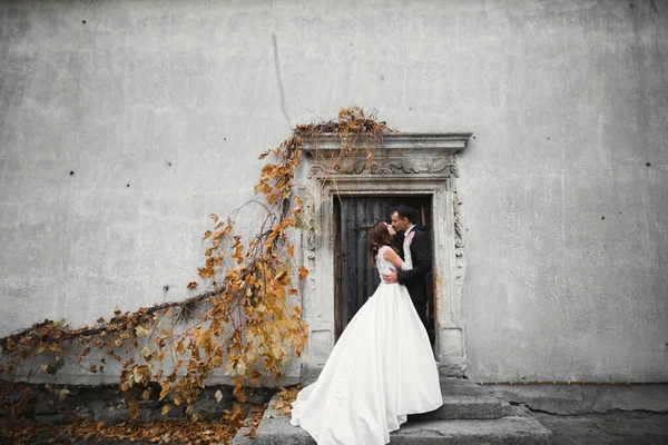 Прекрасные Невеста Жених Обнимаются Целуются Улице День Своей Свадьбы — стоковое фото