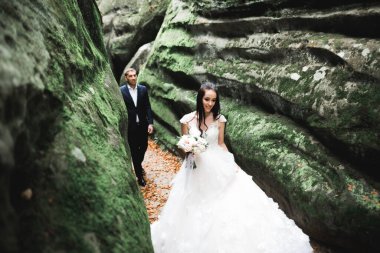 Botanik parkında yürüyen mutlu bir çift..