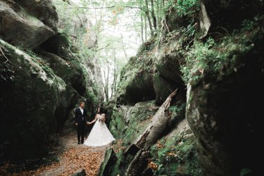 Botanik parkında yürüyen mutlu bir çift..