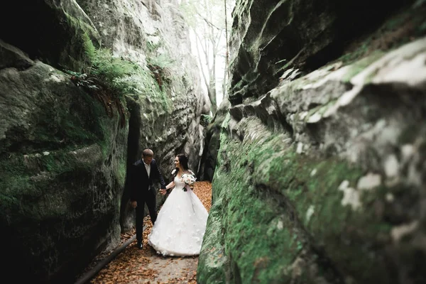 美しい豪華な花嫁は新郎にポーズをとって 素晴らしい景色 テキストのためのスペース 結婚式のカップルで山の近くで楽しんでいます — ストック写真