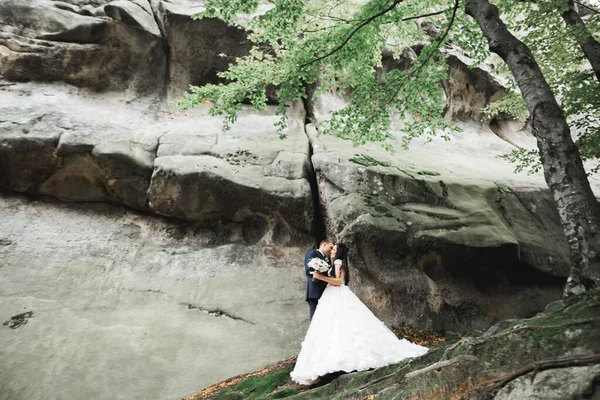美しい豪華な花嫁は新郎にポーズをとって 素晴らしい景色 テキストのためのスペース 結婚式のカップルで山の近くで楽しんでいます — ストック写真