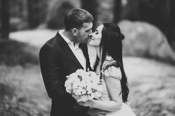 Bella Sposa Sposo Abbracciare Baciare Giorno Del Loro Matrimonio All — Foto Stock
