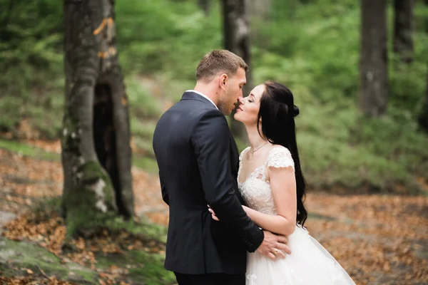 Romantisches Märchenhaftes Glückliches Brautpaar Das Sich Park Umarmt Und Küsst — Stockfoto