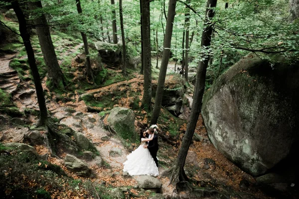 Romantický Pohádkový Šťastný Novomanželský Pár Objímající Líbající Parku Stromy Pozadí — Stock fotografie