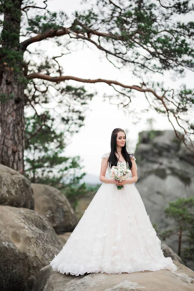 Bellezza Donna Sposa Con Perfetto Abito Bianco Sfondo Montagne — Foto Stock