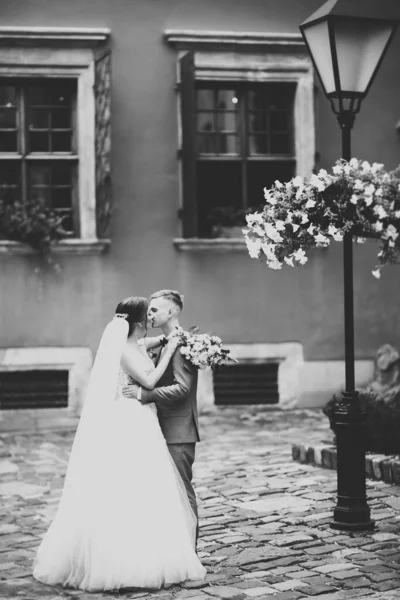 Όμορφη Νύφη Και Γαμπρός Αγκαλιάζει Και Φιλιά Την Ημέρα Του — Φωτογραφία Αρχείου
