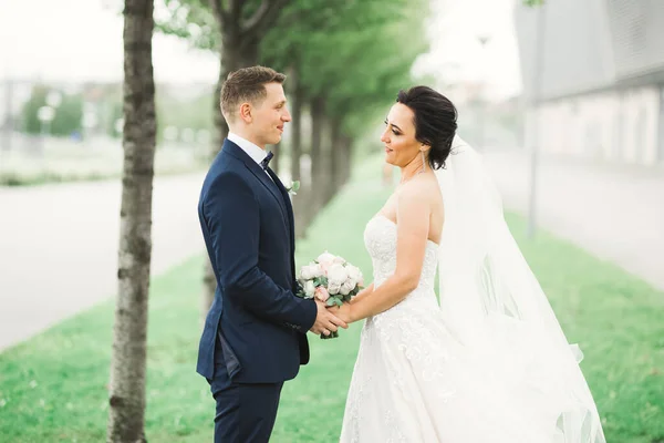 自然界の結婚式のカップルがお互いに抱き合っている 白いドレスの美しいモデルの女の子 スーツの男 — ストック写真