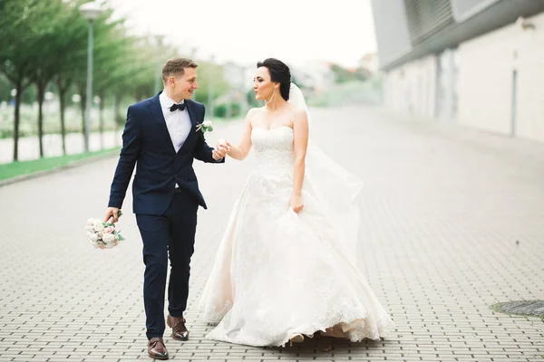 Svatební Pár Drží Ruce Ženich Nevěsta Spolu Svatební Den — Stock fotografie
