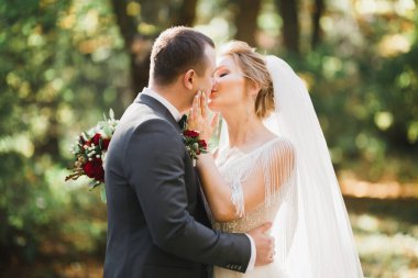 Romantik, peri masalı, mutlu yeni evli çift parkta sarılıp öpüşüyor, arka planda ağaçlar....