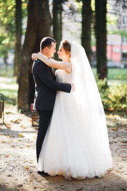 Göz kamaştırıcı mutlu çift birbirine yakın duruyor ve gözlerinin içine bakıyor..