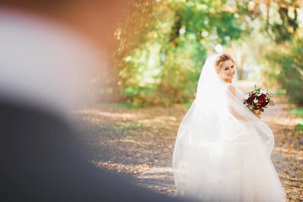 Snygga Par Glada Snygga Nygifta Promenader Parken Deras Bröllopsdag Med — Stockfoto