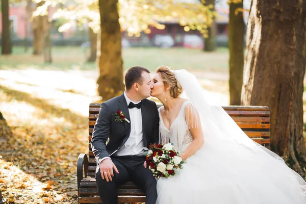 Beautiful Bride Groom Embracing Kissing Wedding Day — Stock Photo, Image