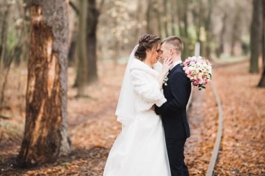 Doğadaki düğün çifti birbirine sarılıyor. Beyaz elbiseli güzel bir kız. Takım elbiseli adam.