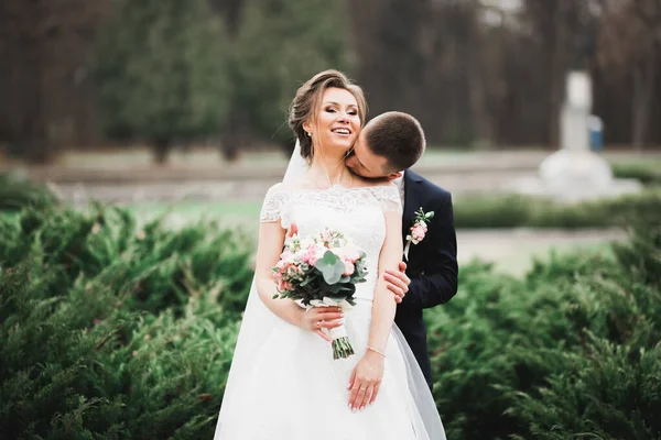 Casamento Casal Natureza Está Abraçando Uns Aos Outros Menina Modelo — Fotografia de Stock