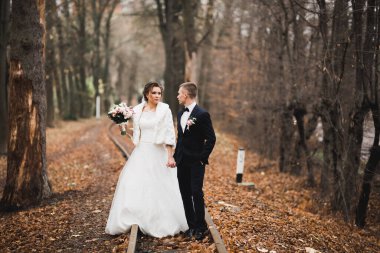 Botanik parkında yürüyen mutlu bir çift..