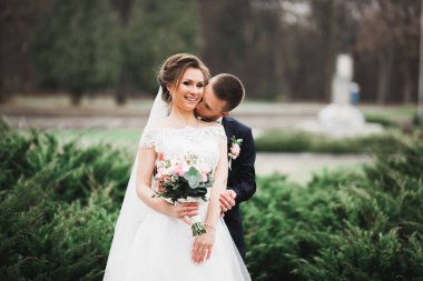 Doğadaki düğün çifti birbirine sarılıyor. Beyaz elbiseli güzel bir kız. Takım elbiseli adam.