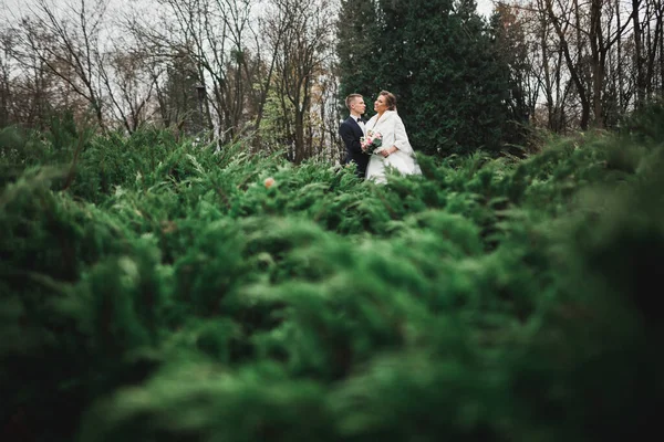 Свадебная Пара Природе Обнимает Друг Друга Красивая Модель Девушки Белом — стоковое фото