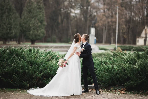 Bela Noiva Noivo Abraçando Beijando Seu Dia Casamento — Fotografia de Stock