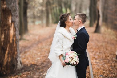 Güzel gelin ve damat düğün günlerinde kucaklaşıp öpüşürler..