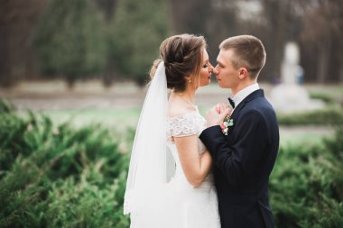 Güzel gelin ve damat düğün günlerinde kucaklaşıp öpüşürler..