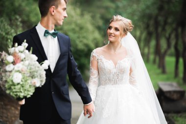 Romantik, peri masalı, mutlu yeni evli çift parkta sarılıp öpüşüyor, arka planda ağaçlar....