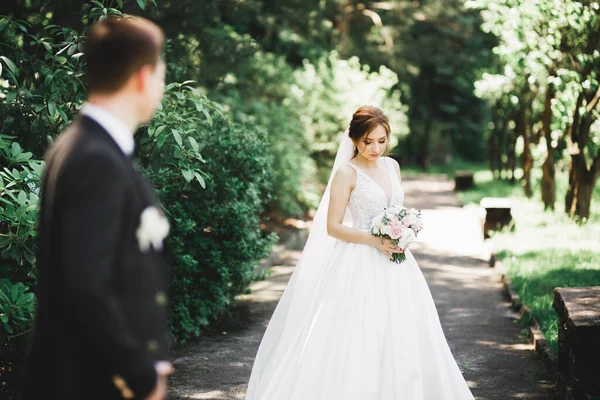 Счастливая Супружеская Пара Очаровательный Жених Идеальная Невеста Позирует Парке — стоковое фото