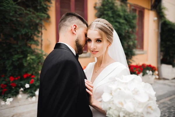 Mooi Gelukkig Bruidspaar Bruid Met Lange Witte Jurk Poseren Mooie — Stockfoto