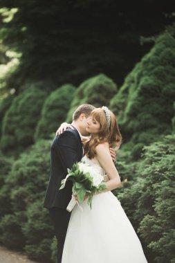 Güzel romantik bir çift yeni evliler gün batımında parkta sarılıyorlar..