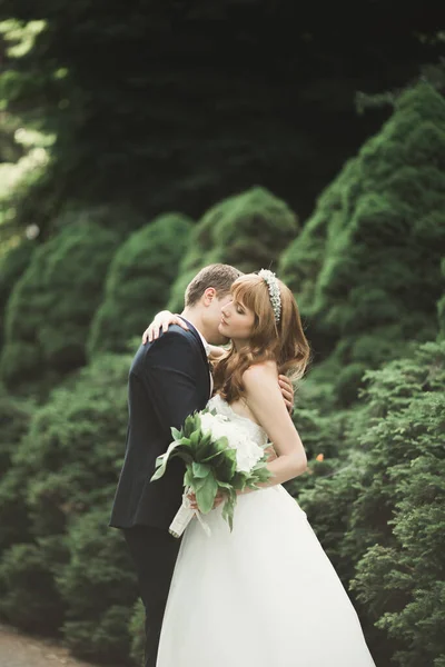 Krásný Romantický Svatební Pár Novomanželů Objímání Parku Při Západu Slunce — Stock fotografie
