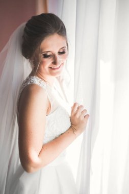 Tüylü, lüks makyaj, saç stili, stüdyo içi fotoğraf çekimi olan güzel bir gelin..